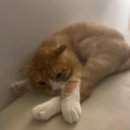 내돈내산 층간소음시공<b>매트</b> <b>봄봄</b><b>매트</b>