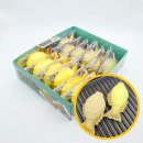 몰캉 쇼핑하우