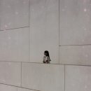 유명치과의원 이미지