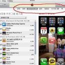 아이폰있는 분들 좀 봐주세요 ㅠㅠ 아이튠즈 사용법 ㅠㅠㅠㅠㅠ 이미지