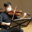 바이올린(야간) 이미지