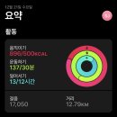 낭만접시 이미지