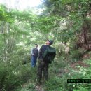 풍기파출소 앞 이미지