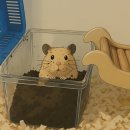 [일상] 안바쁜 사람임미다