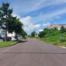 오조리-5 이미지