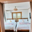 하례초등학교 | 제주도펜션 하례풀 국내여행떠나고 싶을 때 가성비 숙소 가격 위치 후기