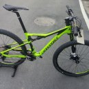 덕정로L 이미지