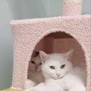 츄냥이 하우스 이미지