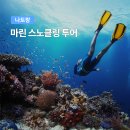 베트남 나트랑 호핑투어 한국인 가이드 스노클링 혼문섬 혼땀섬 다이빙 솔직 후기
