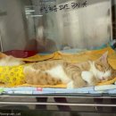 분홍빛으로병원 이미지