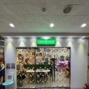 도안북로 | 대전 도안동 아이 미술학원 원데이 클래스 후기 | 그림아트스튜디오 대전도안원