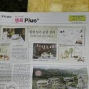 미리내광고 이미지