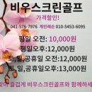 비우스크린골프