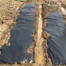 단수농장 이미지