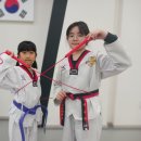 한신 2 태권도 이미지