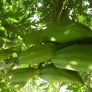 서주길(와룡면) 이미지