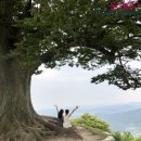 성흥농원 네이버블로그
