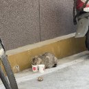 가정의 달 일상 (+경주 맛자랑 솔직후기)