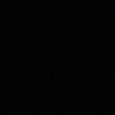 코끼리캠핑장 이미지