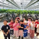 한들농장 이미지