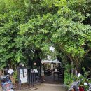 Cafe Forest (카페 포레스트) 이미지