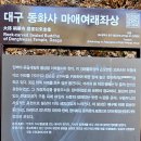 용진산마애여래좌상 | 대구 동화사 마애여래좌상(보물)