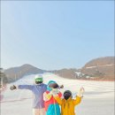 스위밍고 | 미라클스위밍클럽 겨울방학 스키수업 아이와 함께한 겨울 스키레슨 후기