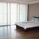 팔레드시즈 이미지