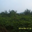 두일농장 이미지