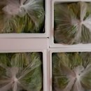 미소 농장 이미지