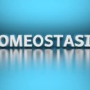 스포츠지도사 2급 - 운동생리학 이미지