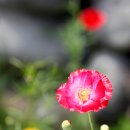 당현천산책로 이미지