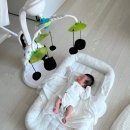 유준소프트 | D+164 비주비노 아기침대 겸 역방쿠 5개월 내돈내산 찐 사용후기