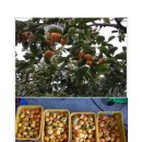 도반농장 이미지