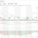 21세기 세계로약국 이미지