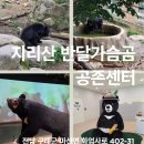 구례 지리산 반달가슴곰 공존센터 방문기 🐻 (ft. 예약 꿀팁 & 생생후기)