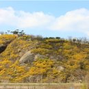 개나리유치원  (추가) 이미지