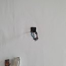 그린비디오 이미지