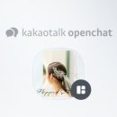 스튜디오플립