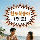 과일아재