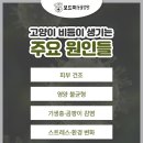 보드미피부관리