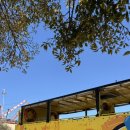 HIPPO | [리스본] 히포 트립 버스 Hippo trip 후기 ❗️추천 ❗️