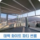 하얀디자인