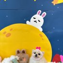 댕즈 이미지