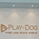 플레이독 파주본점 | 파주강아지 가족 만나러 방문했던 플레이독 파주본점 후기