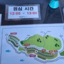 대왕암공원 캠핑장 | [장소리뷰]울산 대왕암공원 오토캠핑장 후기/100일아기랑캠핑