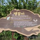 성서제방도로 이미지