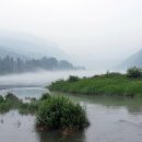 대지행정사무소 이미지