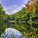 고창이네 이미지