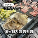 오봉도시락 영등포 양평점 | [하남돼지집 양평점] 냉동삼겹살까지 맛있는 영등포구청역 맛집 고기집 솔직후기